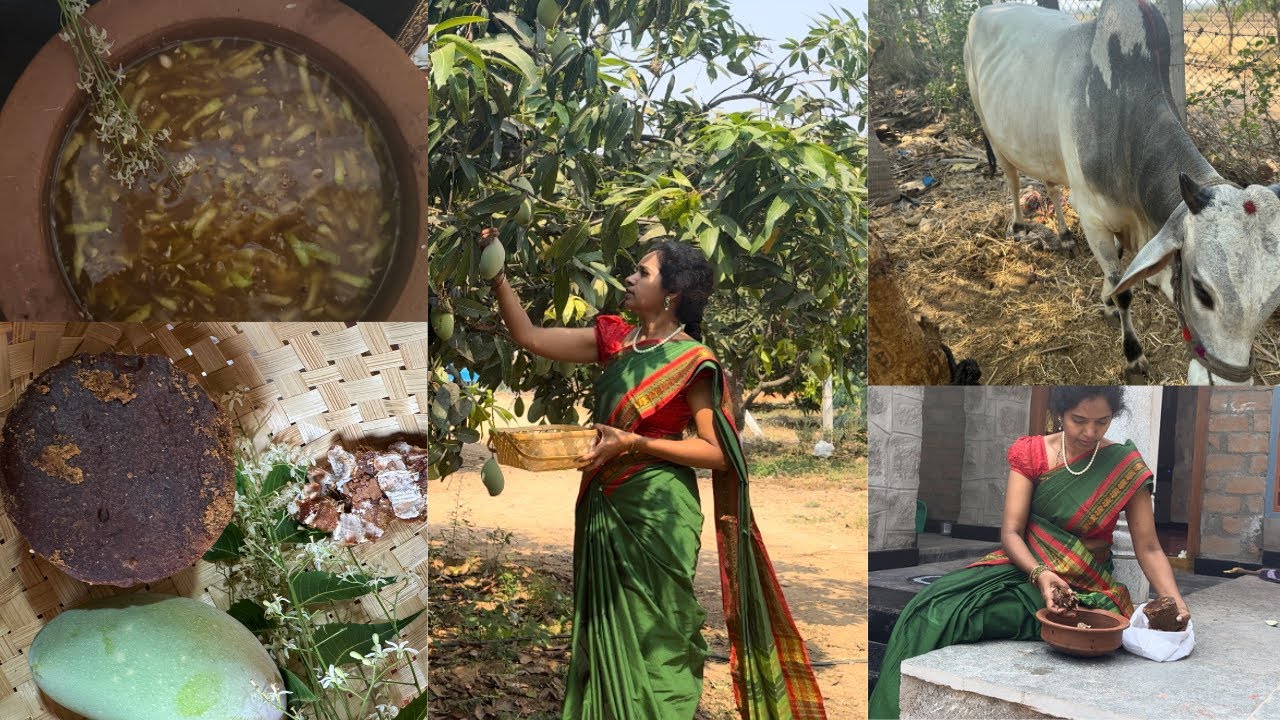 మా తోటలో  బంధువులందరితో కలిసి ఉగాది పండగ చేసుకున్నాము ॥ తెలుగు నూతన సంవత్సర శుభాకాంక్షలు🙏