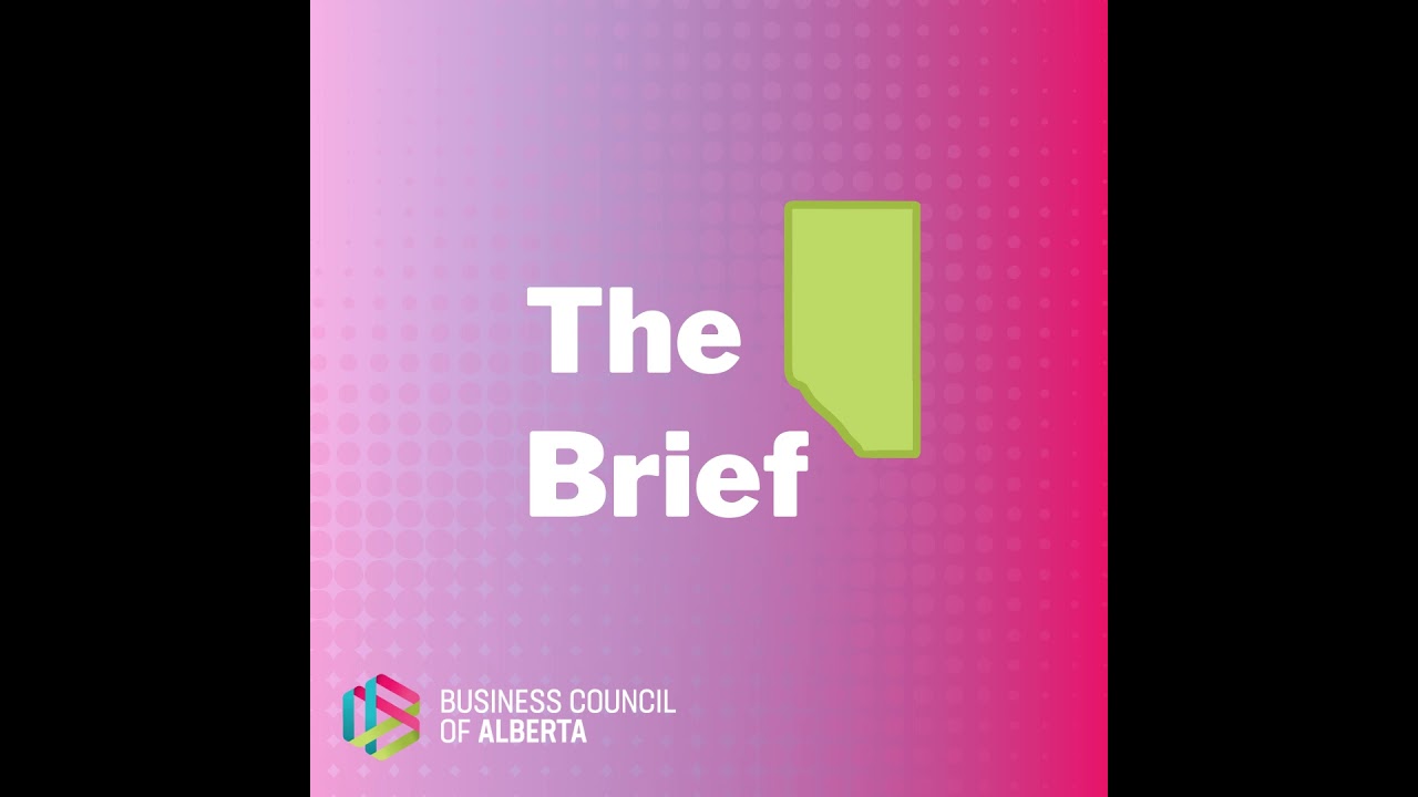 The Brief: Is Flying Canada's Ticket to Affordable Transportation?