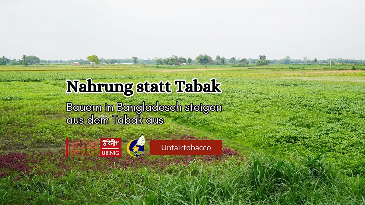 Nahrung statt Tabak: Bauern in Bangladesch steigen aus dem Tabak aus