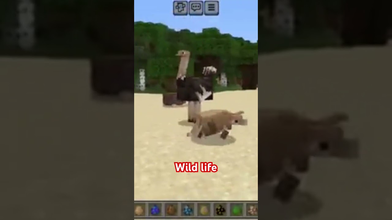 Wild animal 