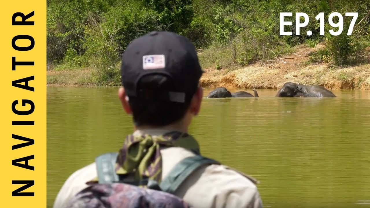เนวิเกเตอร์ EP.197 | มีคน มีต้นไม้ มีสัตว์ป่า | บ้านรวมไทย กุยบุรี ประจวบคีรีขันธ์