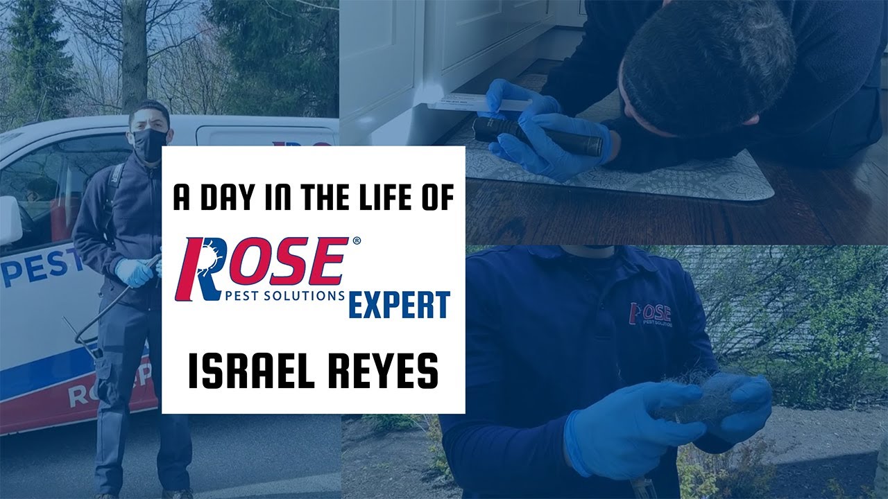 A Day in the Life of Izzy, Pest Management Professional at Rose Pest Solutions