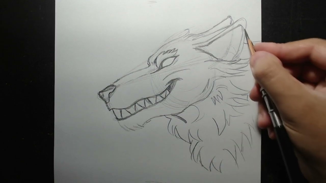 Como desenhar lobo passo a passo