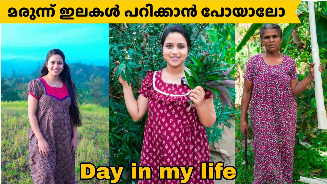 വേത് വെള്ളം ഉണ്ടാക്കാൻ ഇലകൾ പറിക്കാൻ പോയാലോ ...Day in my life