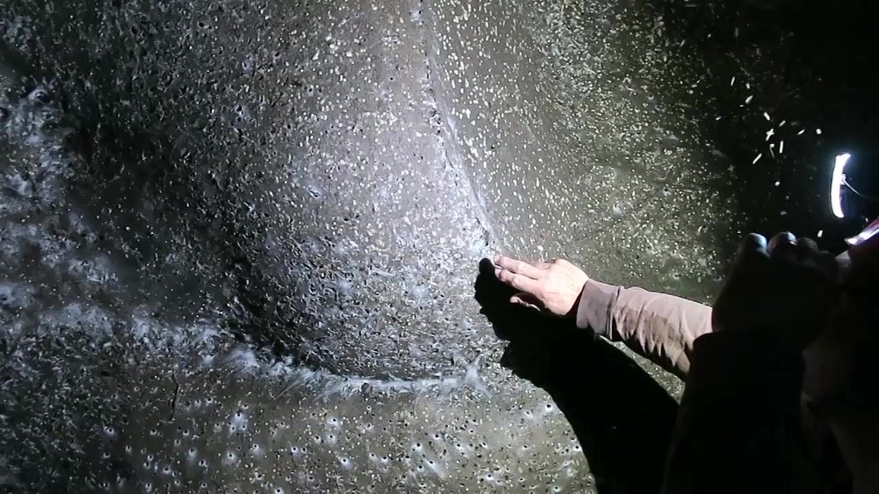 Giant spider web discovered in cave on Greece-Albania border | AFP