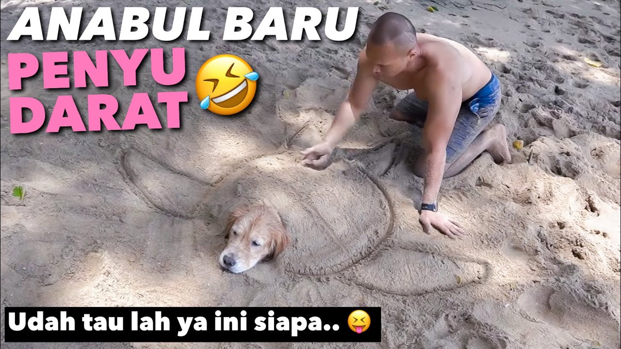 KELAKUAN SNOWA BEBAS LEPAS DI PANTAI! EDISI ULANG TAHUN..