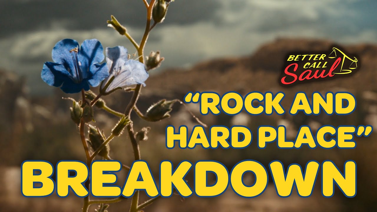 What does the blue flower mean? | Better Call Saul S6E3 "Rock and Hard Place" | Basement Breakdown