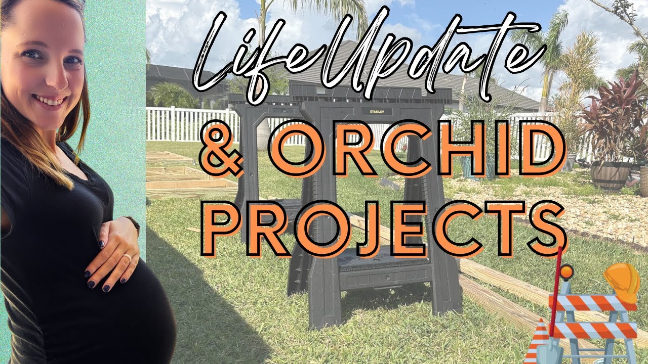 Life Update & Orchid Projects