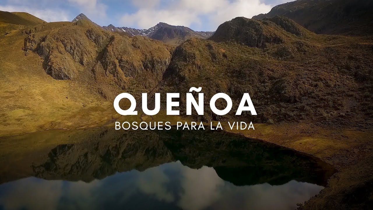 Queñoa; Bosques para la Vida