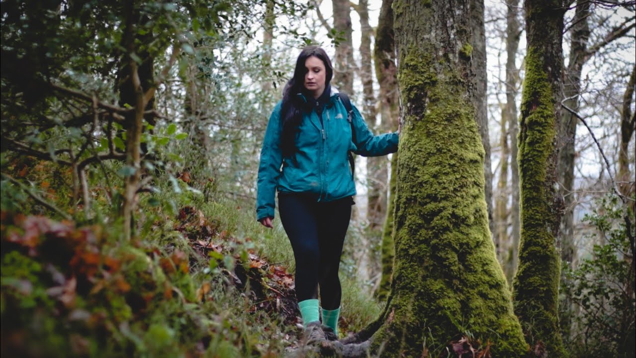 A walk with the Fairies. Doon Hill - Aberfoyle
