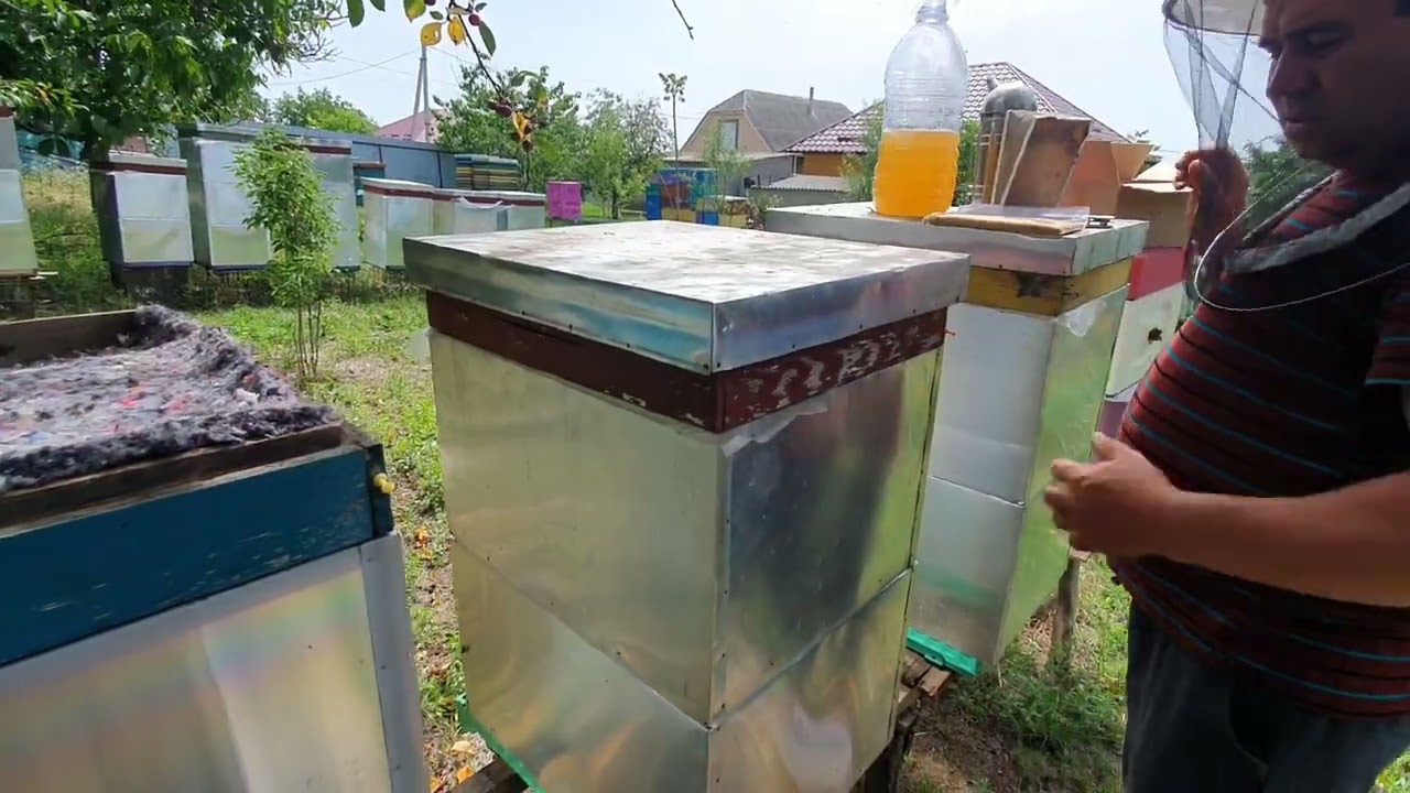 663.Si proteica, si glucidica...