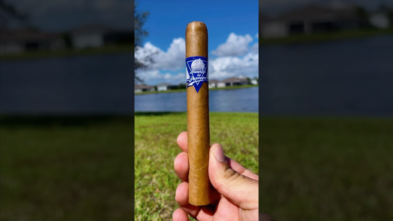 🍂💨 Room 101 Breakfast in Portugal💨🍂 #cigar #cigars #asmr #asmrsounds #shorts #trending