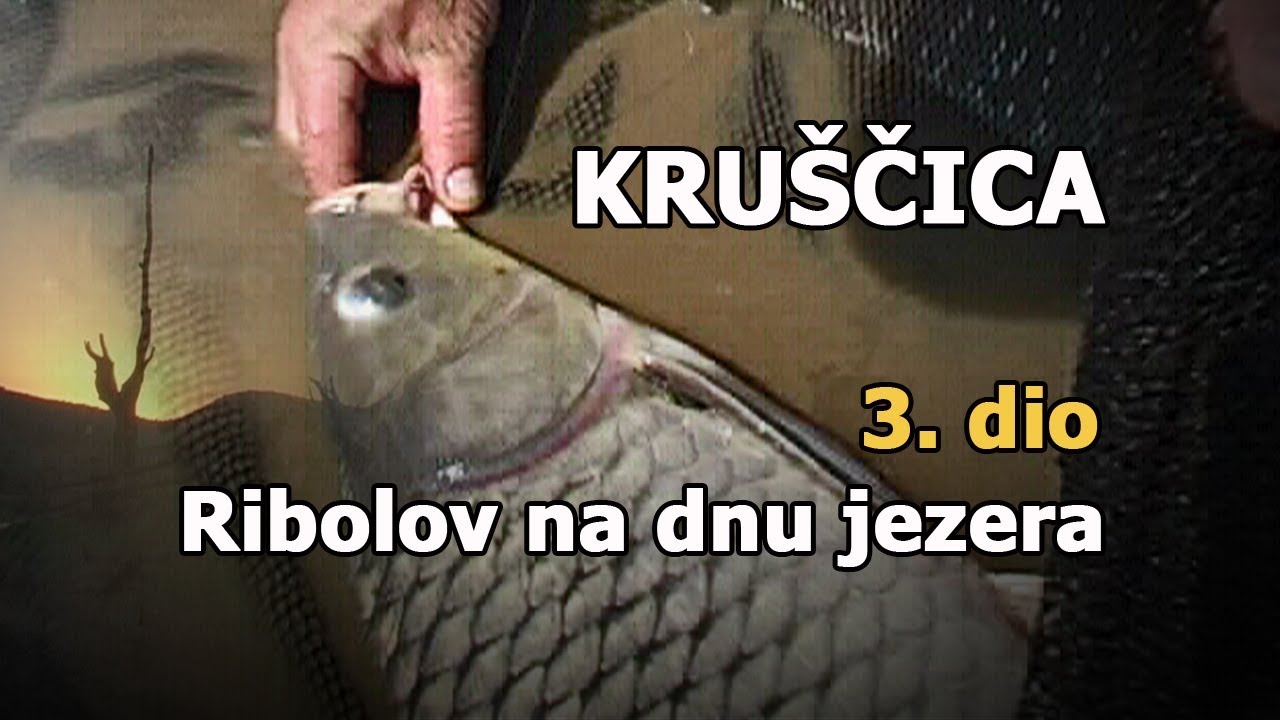 Zlatni šarani Like, vezanje udice ČVOR bez ČVORA - KRUŠČICA, Ribolov na dnu jezera 3/5 / VSP Pavičić