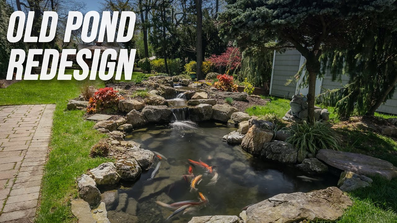 Rebuilding a Pond from the Ground Up