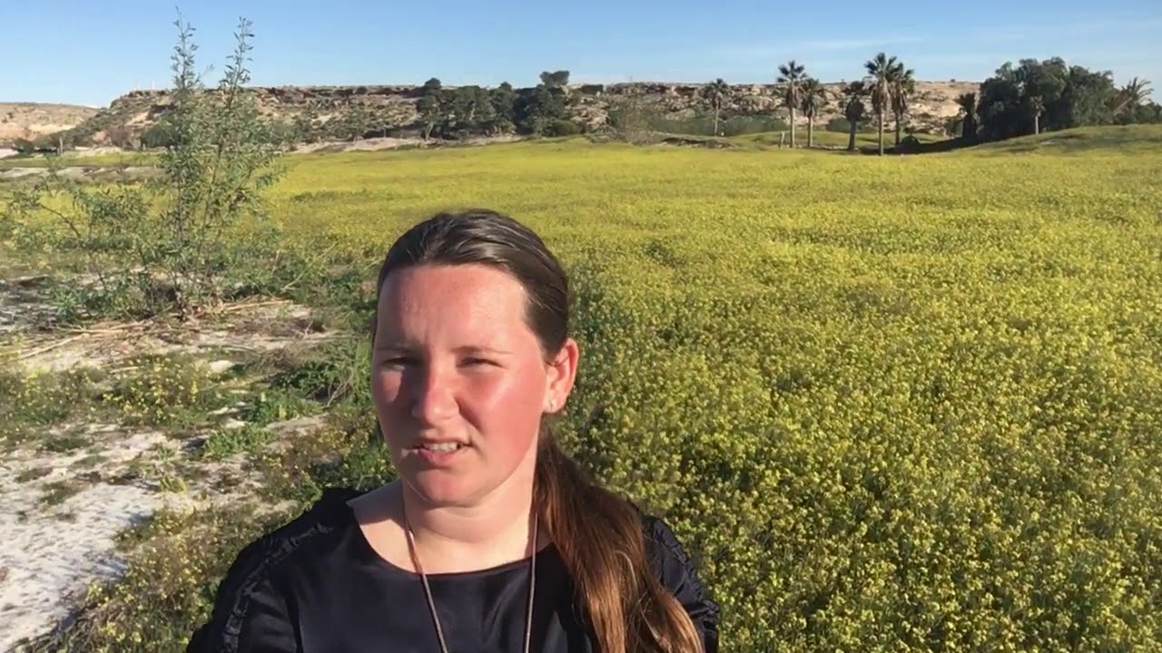 Stukje Golf Course op Mosa Trajectum