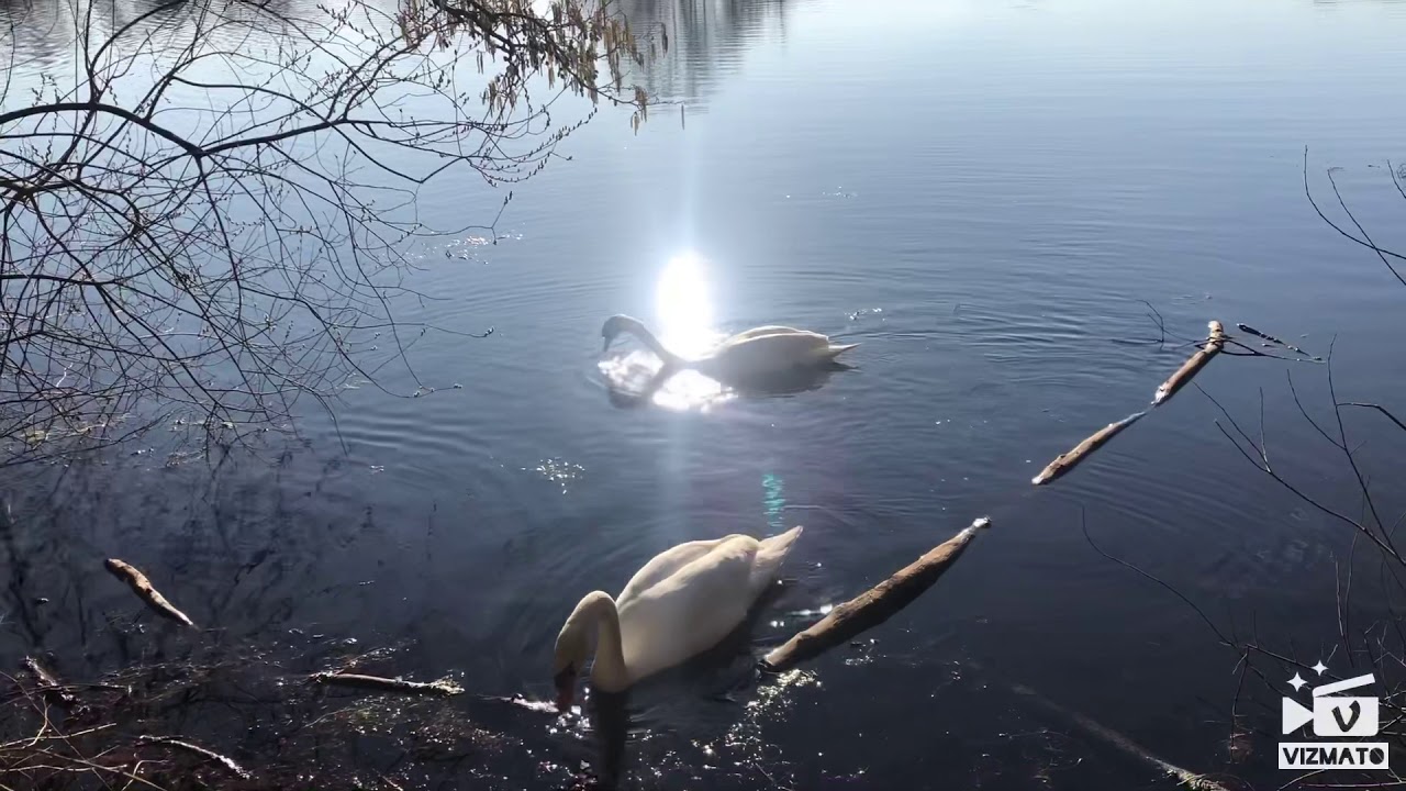 Ratinger Waldsee- Love at first sight