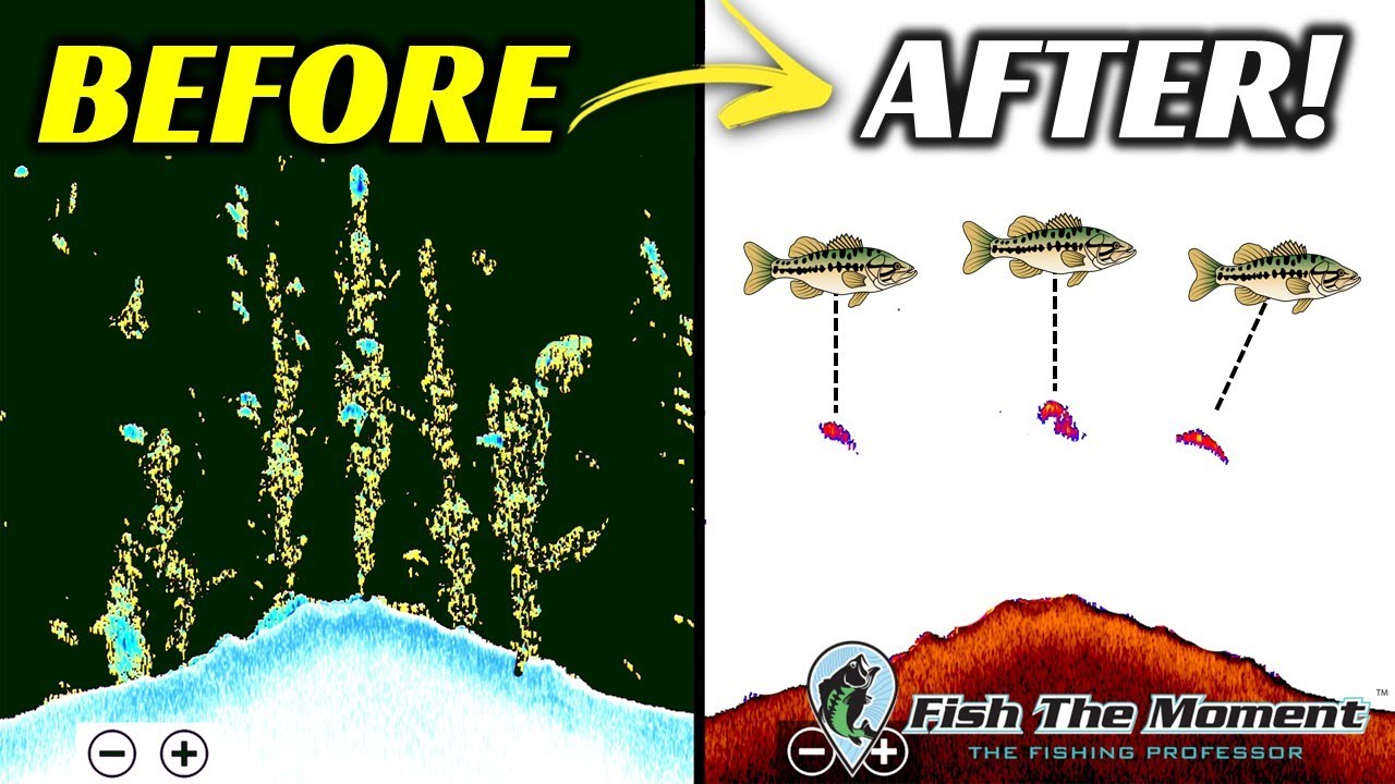 Transform Your Fish Finder Image in 5 Minutes – Ideal Fish Finder Settings For Finding Bass