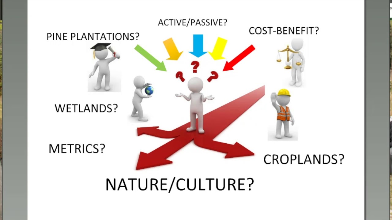 Introduction to Forest and landscape restoration participatory approaches and monitoring