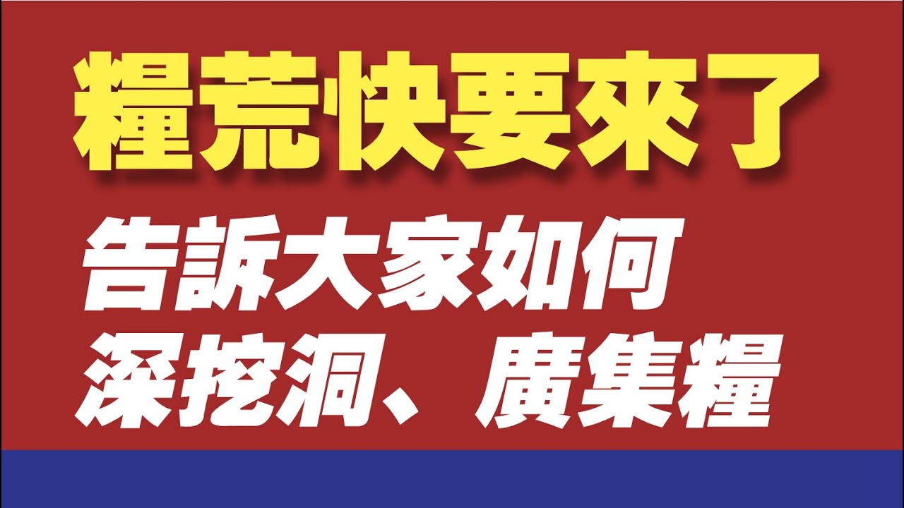 粮荒快要来了，告诉大家如何深挖洞、广集粮。2020.04.02NO259#粮食#粮荒#大饥荒