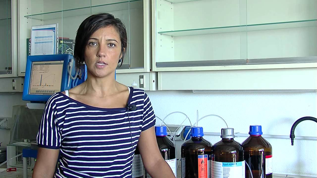 Corso di Laurea triennale in  