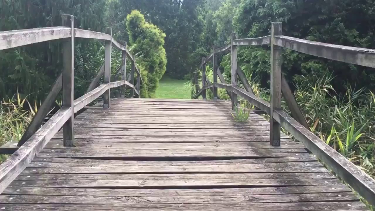 Egy séta az erdőtelki arborétumban