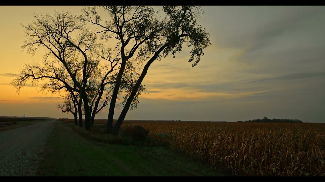 STATIC STATE - NATURE 004