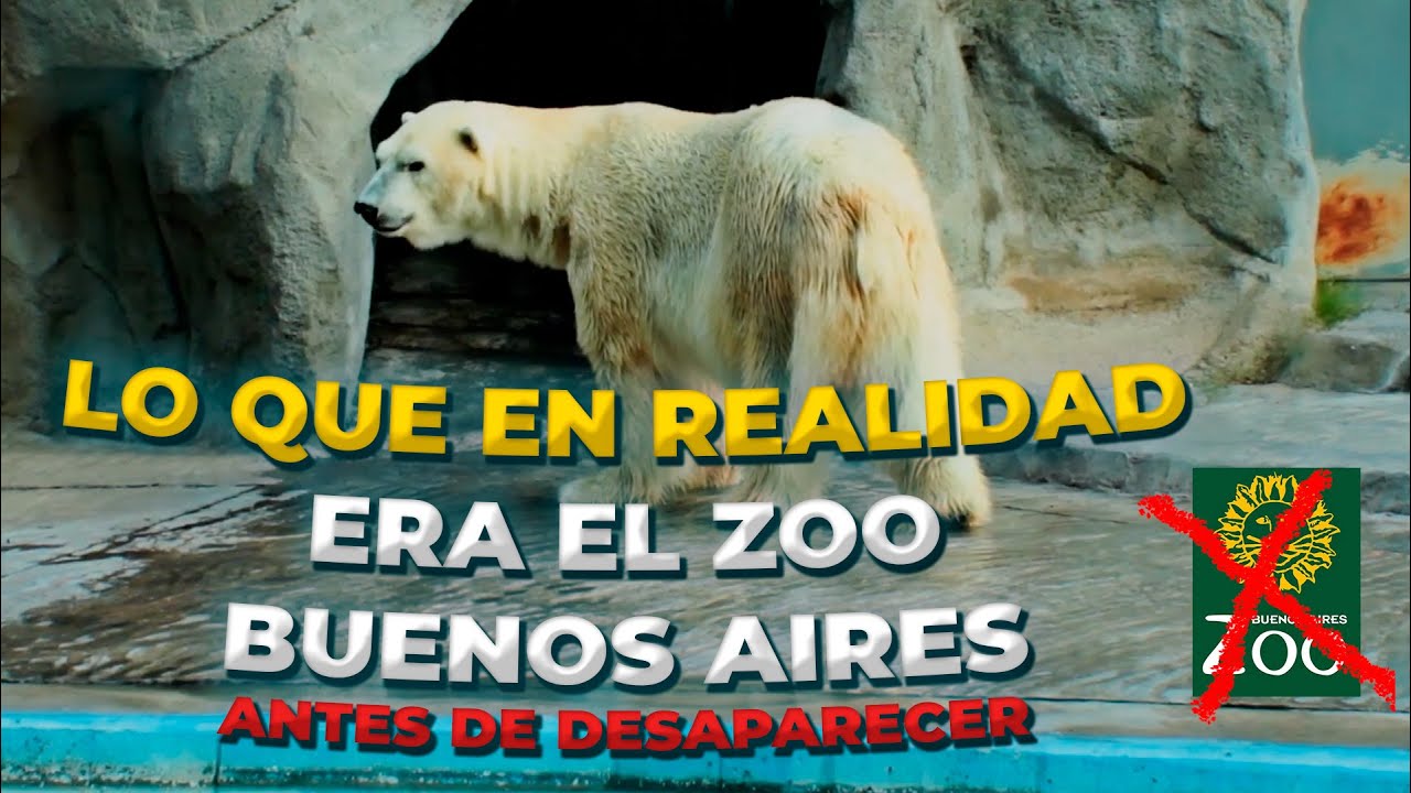 Zoo de Buenos aires 2012
