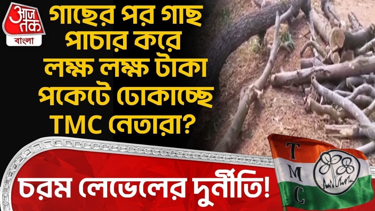 গাছের পর গাছ পাচার করে লক্ষ লক্ষ টাকা পকেটে ঢোকাচ্ছে TMC নেতারা? চরম লেভেলের দুর্নীতি! East Burdwan