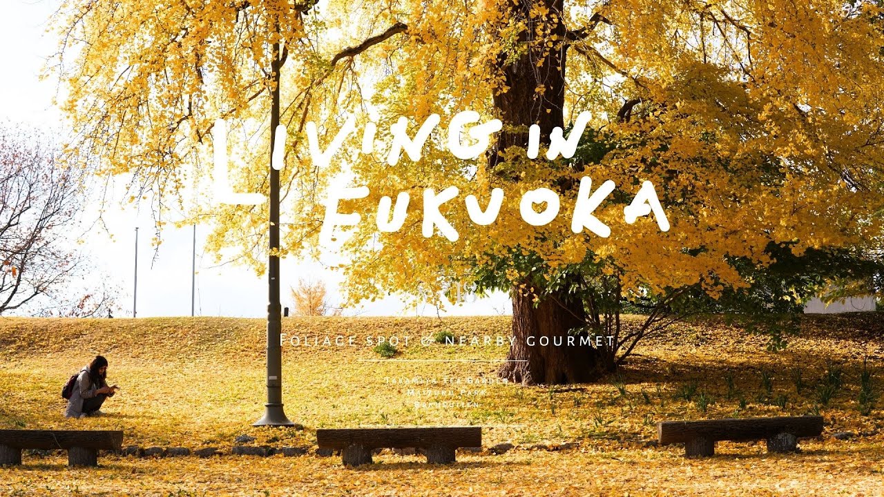 LIVING in FUKUOKA |  No.18 | Autumn foliage spots & nearby gourmet