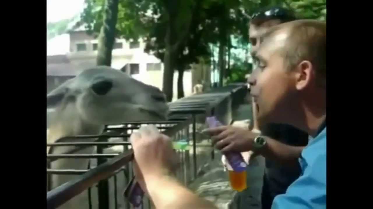 Epic Fail Compilation Fun June 2013
