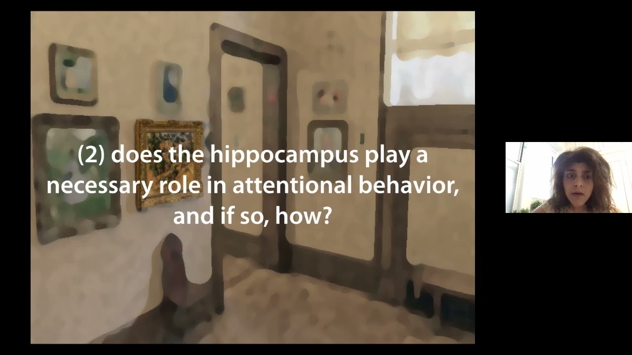 How Hippocampal Memory Shapes and is Shaped by Attention