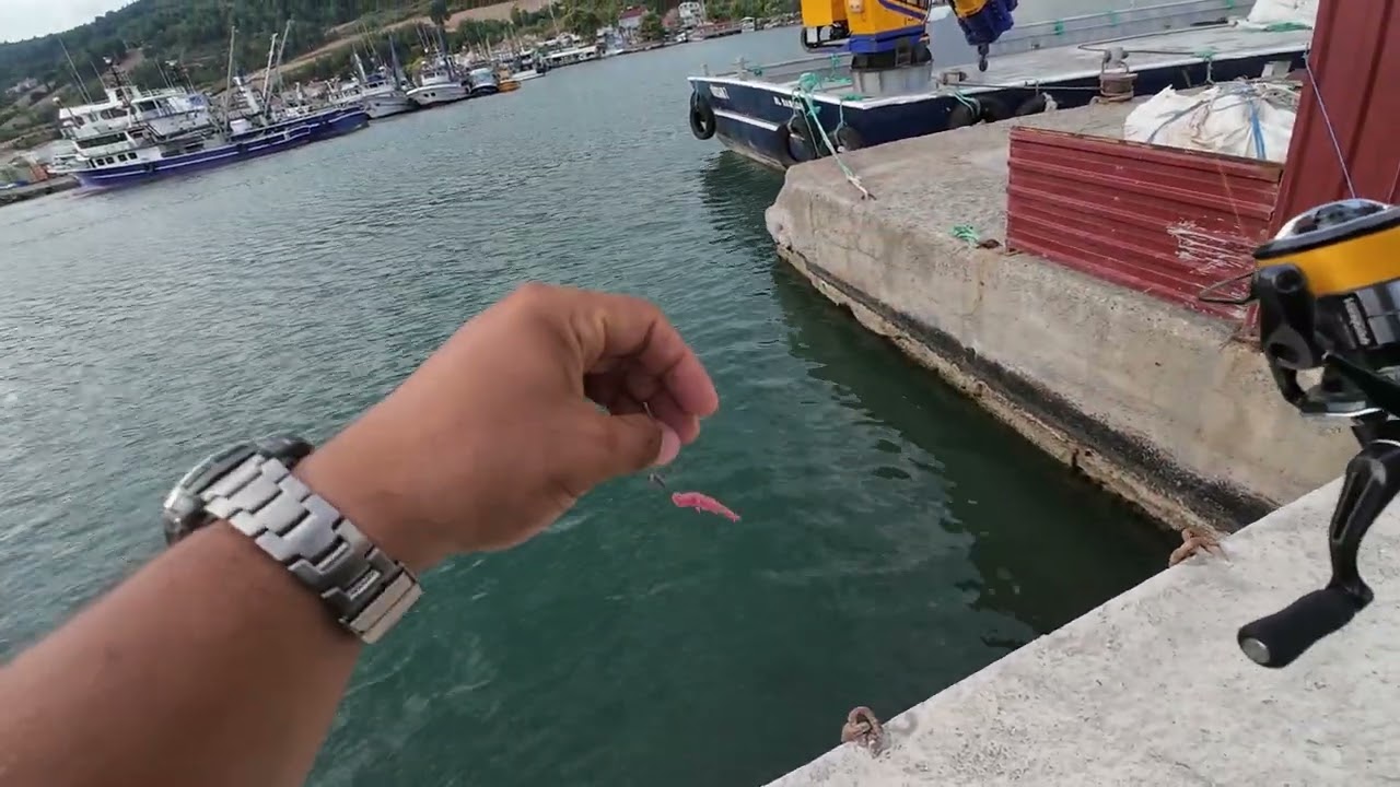 Sabah Suyu LRF Avı, LRF'nin En Önemli İki Bileşeni Nedir? #lrf #balıkçılık #fishing