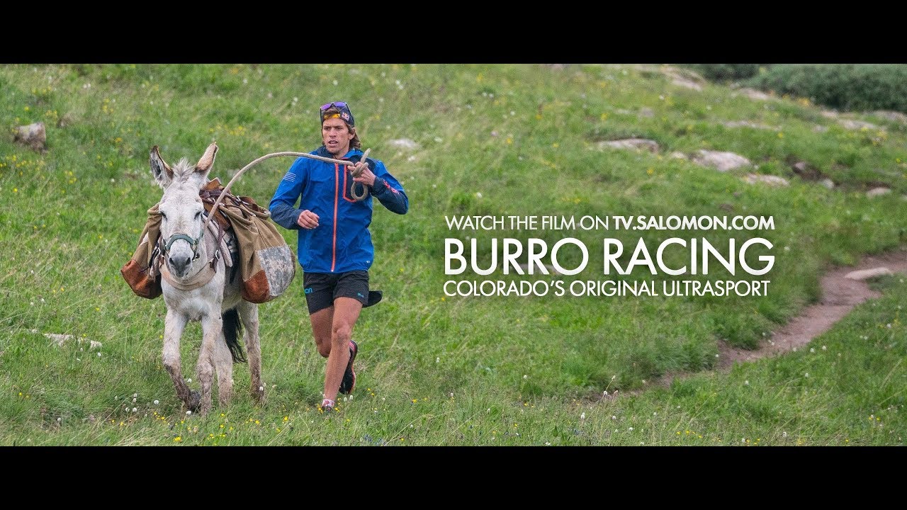 Burro | Salomon TV