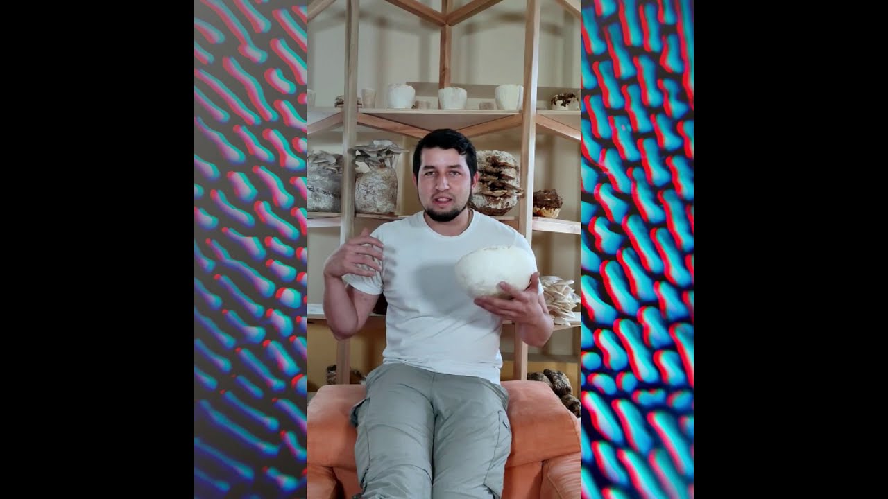 NELSON DUE&Ntilde;AS-  FUNDADOR DE MYCOMAKER