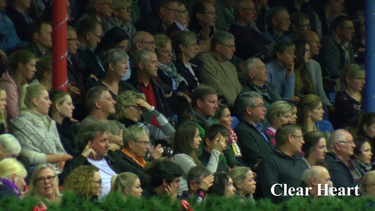 Clear Heart Hengstkollektion 2019