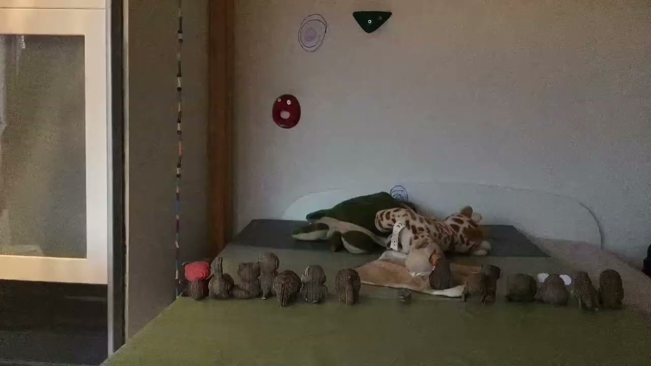 Het verhaal van schildpad…