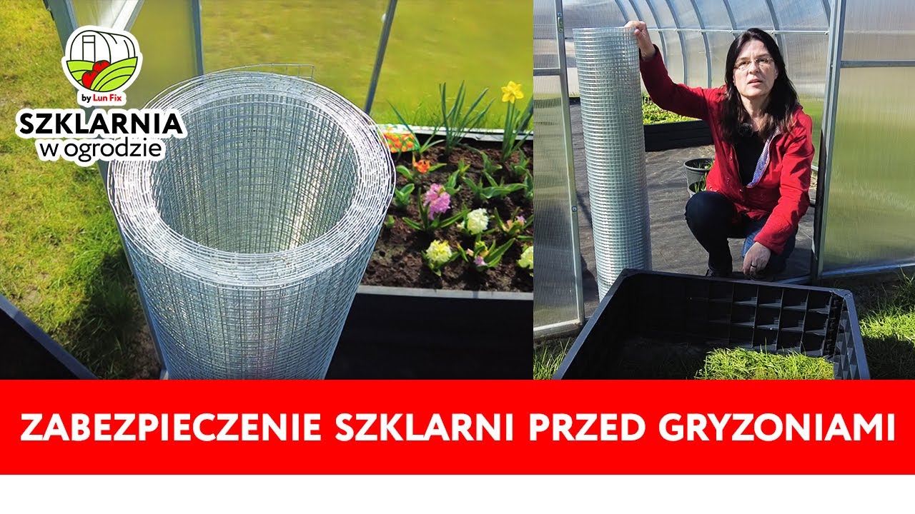 Zabezpieczenie szklarni przed gryzoniami, jak się pozbyć nornic i karczownik&oacute;w ze szklarni.