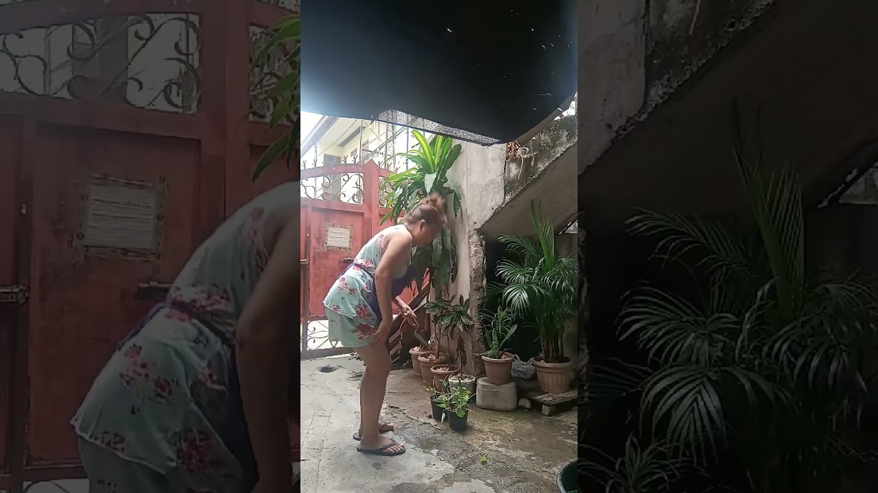 Magtransfer ulit nga halaman para dumami sila gaganda Ang tanawin Araw araw🙂🤗