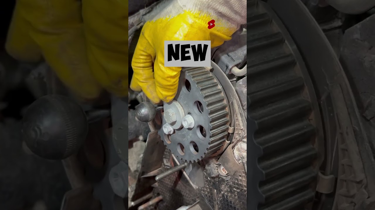 Setting Timing Marks and Replacing the Timing Belt on 2.0 TDI VOLKSWAGEN