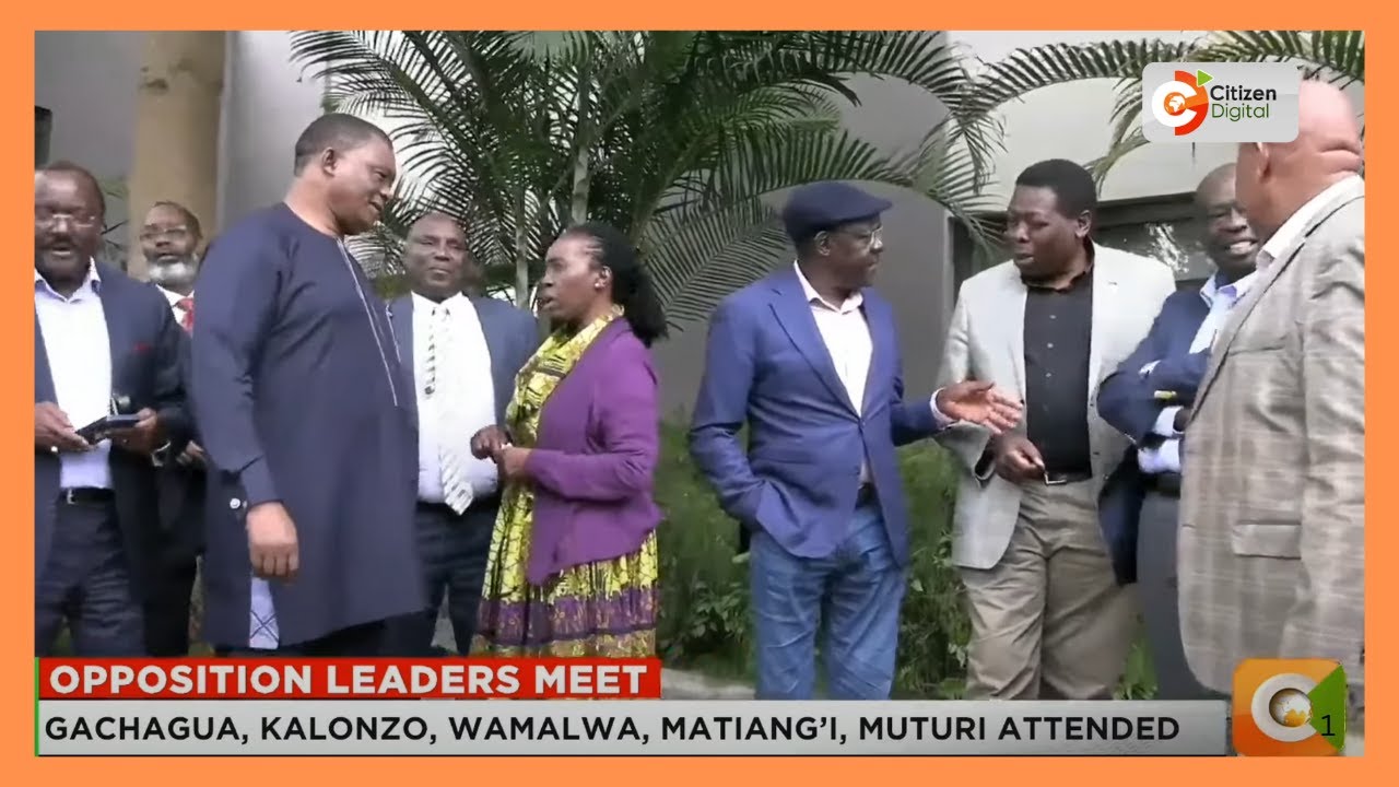 Opposition leaders meet in bid to forge unity