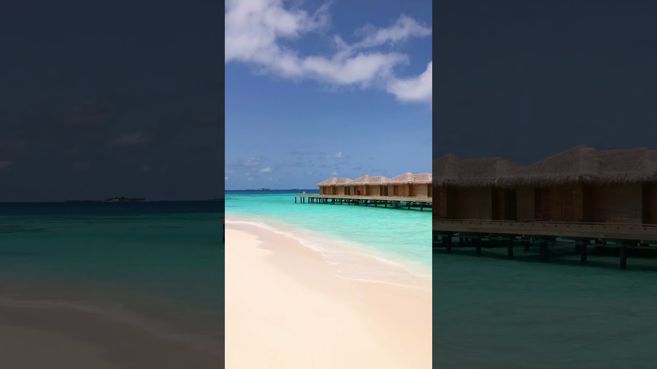 👀 COULD YOU IMAGUNE? #travel #beach #motivation #tropicalvacation