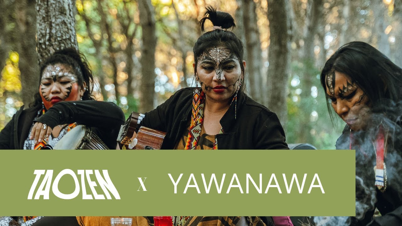 Sounds of the Ceremony (Saitis from Taozen x Yawanawa)