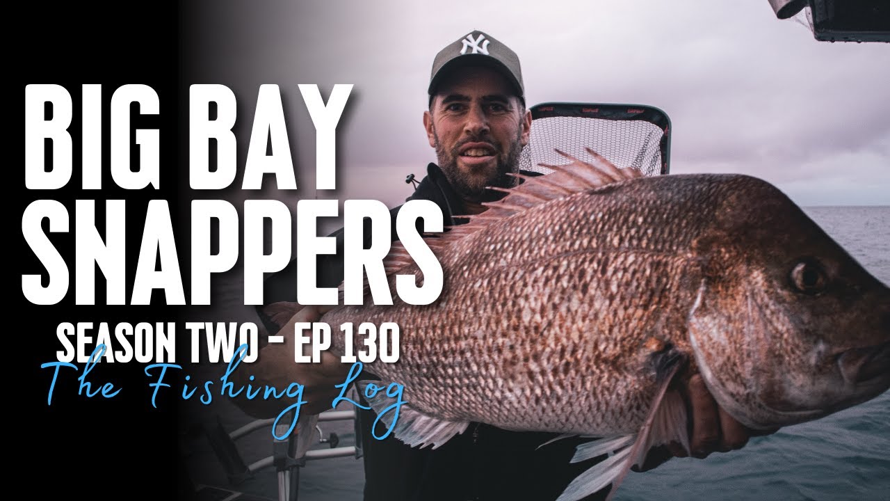 Tasman Bay Giants – Chasing Monster Snapper in Shallow Water - | S2 - Ep130 The Fishing Log