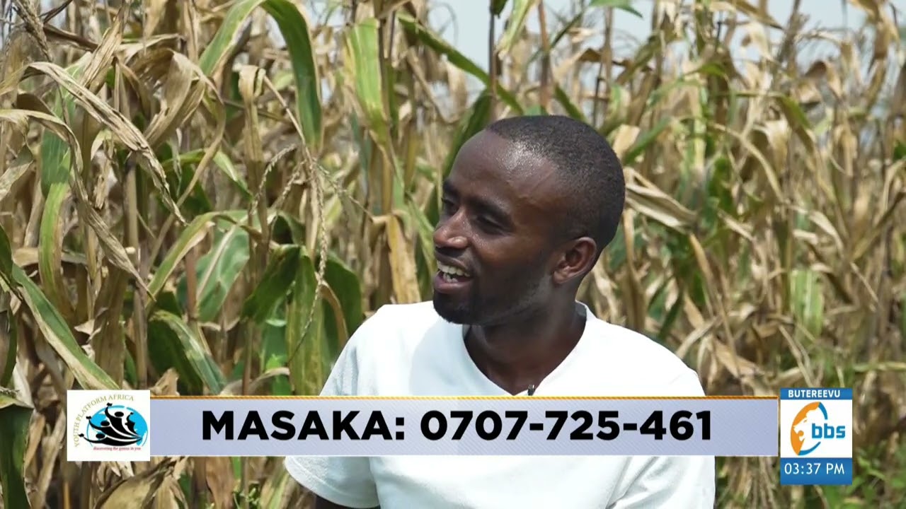 Aba YPA bakulaga bw'osobola okufuna mu bulunzi. #Olutindo
