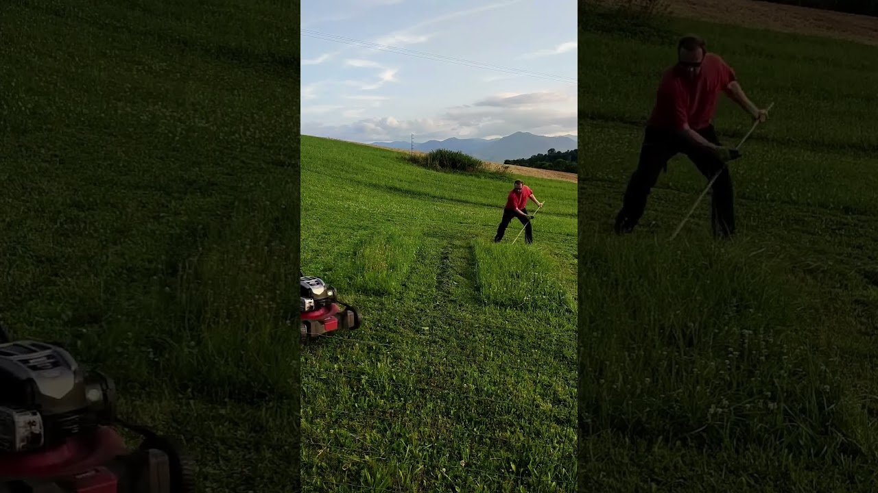 FOICE vs CORTADOR DE GRAMA