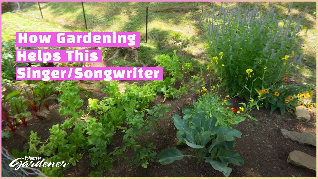 Growing vegetables for the first time | Volunteer Gardener