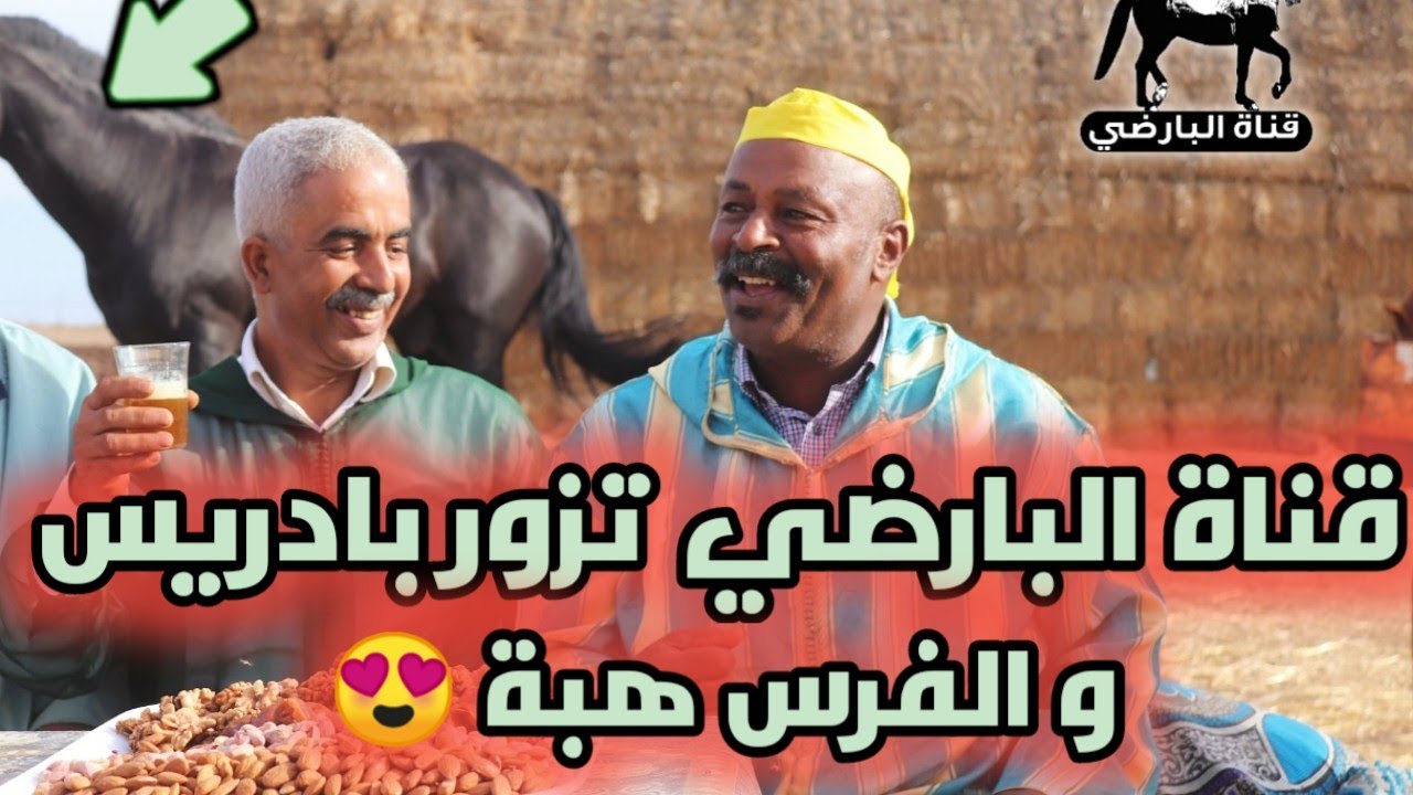 أحسن فيديو غنشوفو فقناة البارضي مع #بادريس_سلطان_كحل و الفرس هبة محبوبة الجماهير 😍 #lbardi