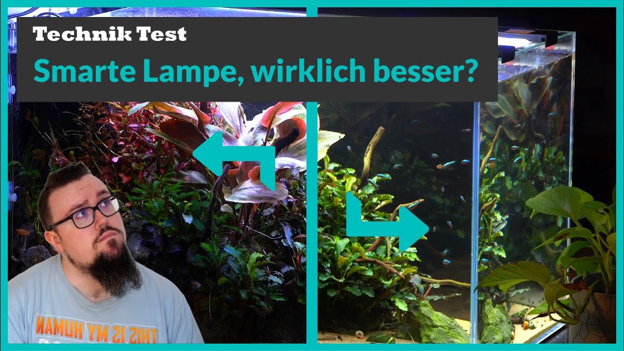 Eheim's smarte Einsteigerlampe, was kann sie?