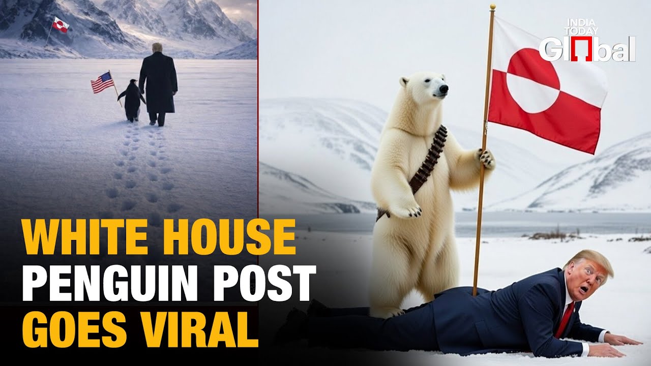 Trump's Viral Penguin Post Backfires As Internet Trolls White House For Embarrassing Arctic Fail