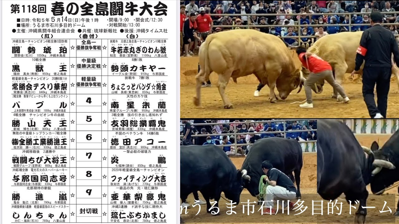第118回春の全島闘牛大会（全編）